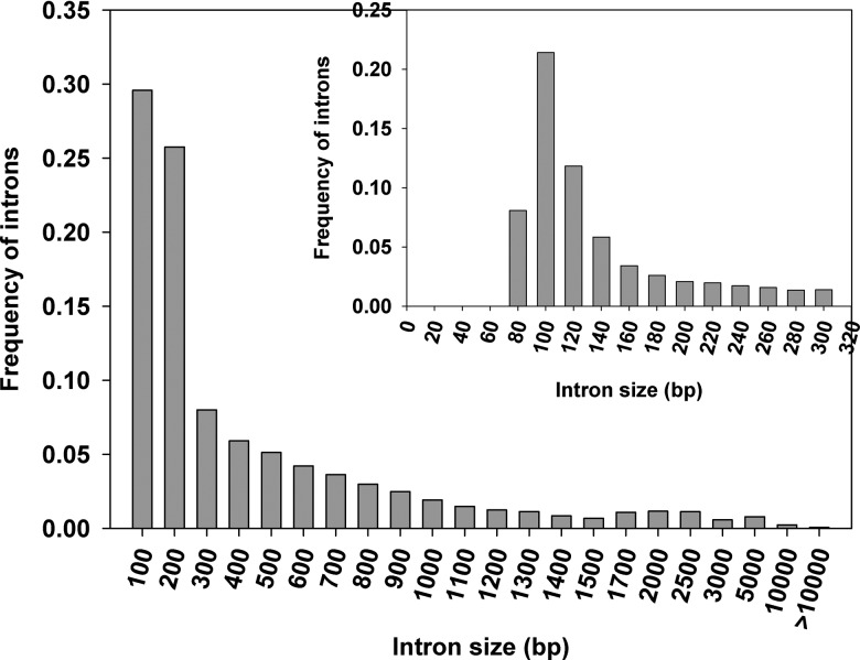 Figure 3.