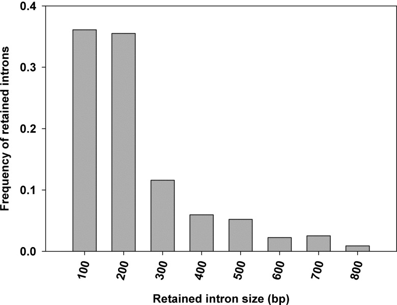 Figure 4.