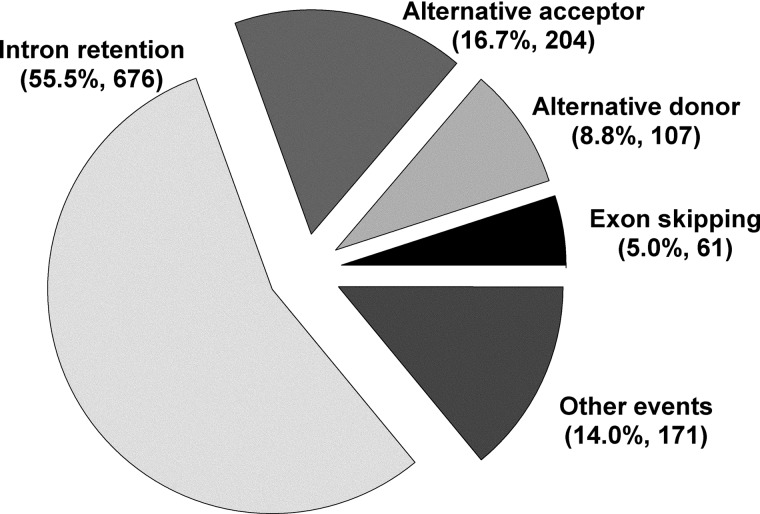 Figure 1.