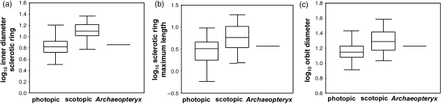 Fig. 5