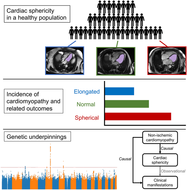 graphic file with name nihms-1879270-f0001.jpg