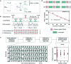 Extended Data Fig. 2