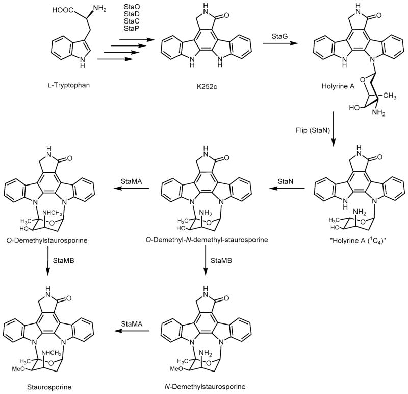 Fig. 6