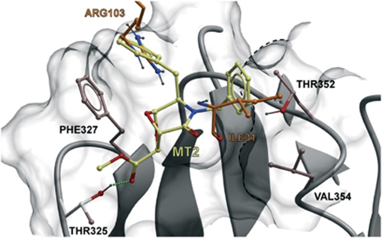 Figure 3