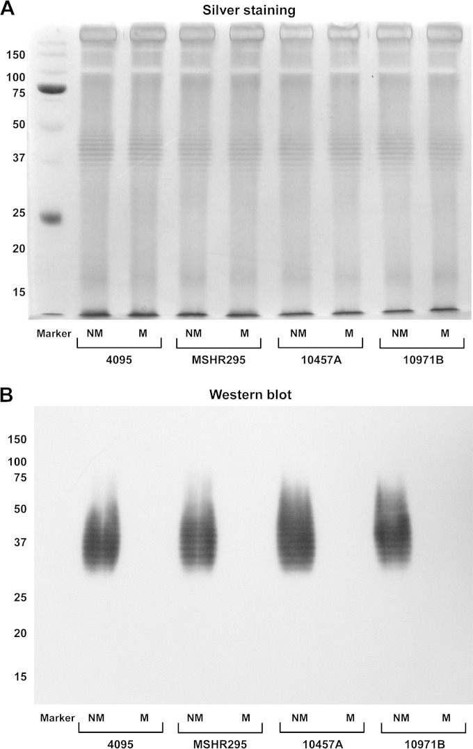 FIG 4