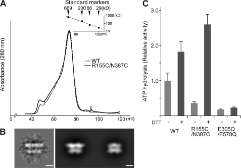 FIGURE 4.