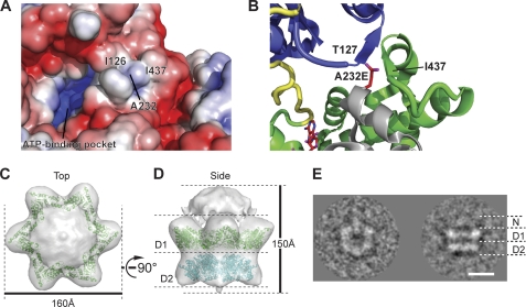 FIGURE 2.