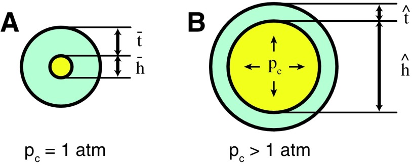 FIG. 5.