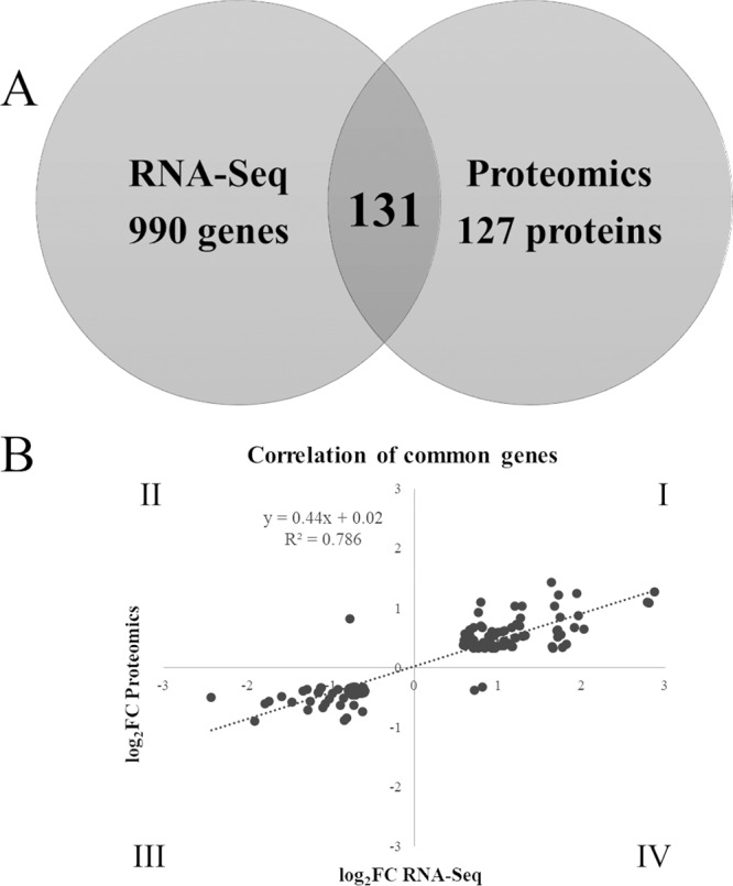 FIG 6