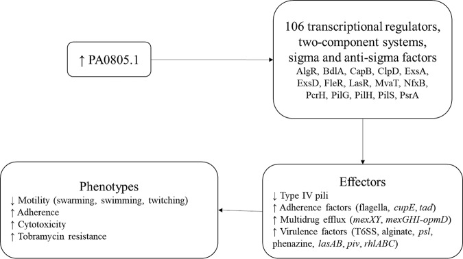 FIG 4