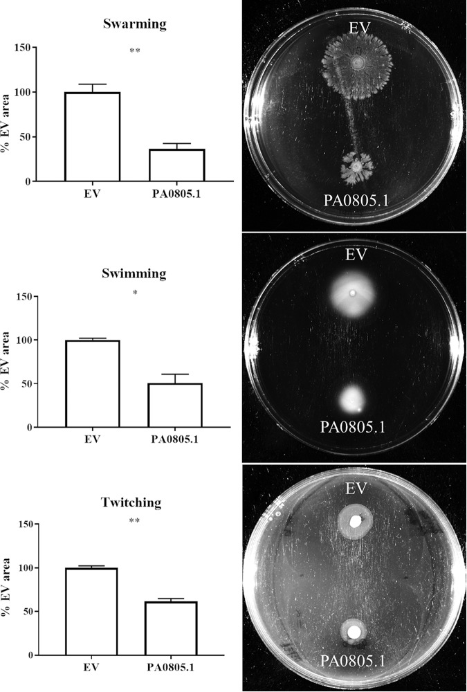 FIG 1