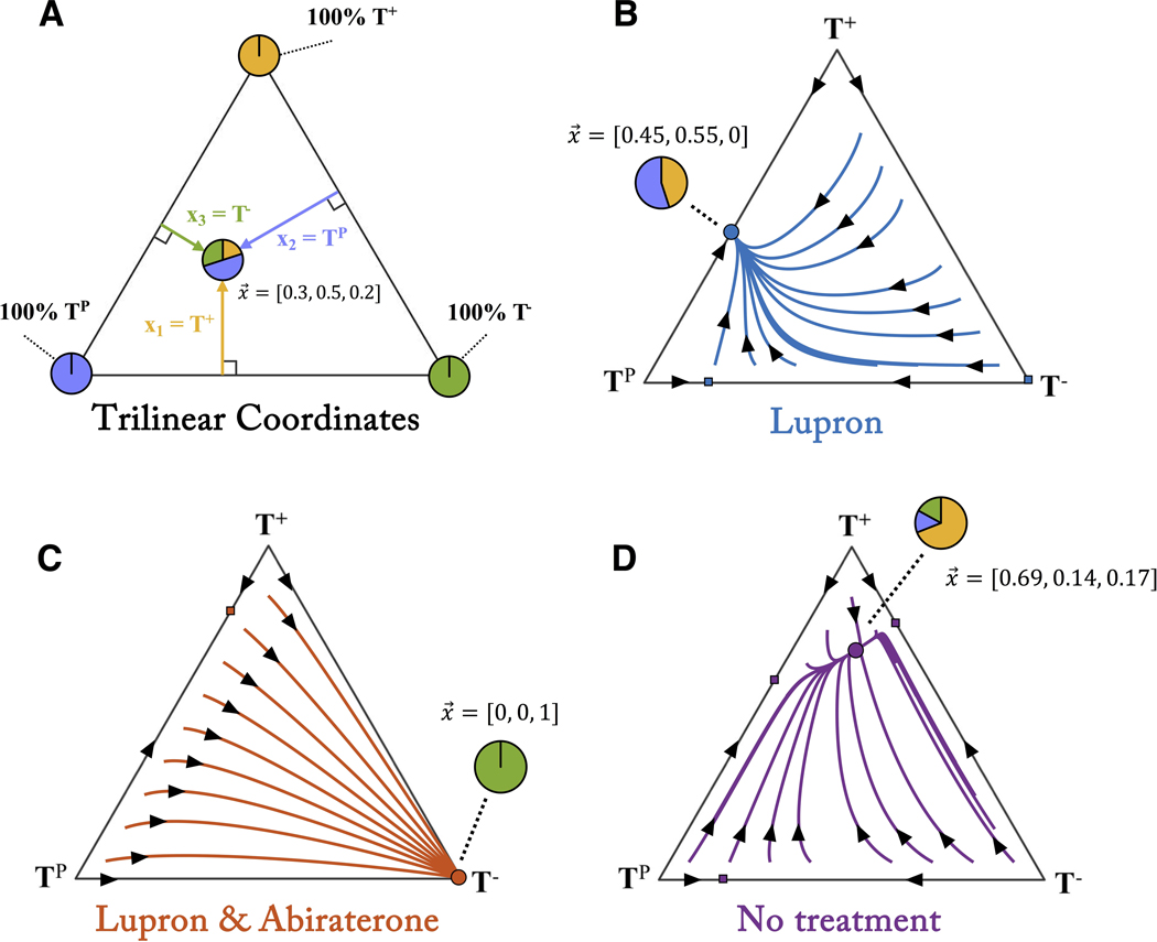 Figure 4: