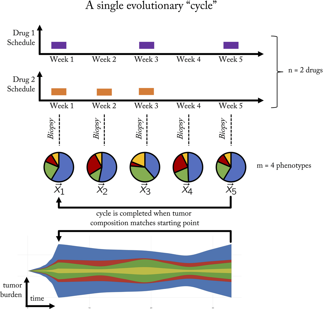 Figure 2: