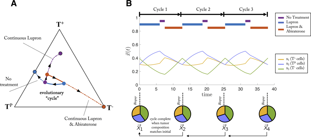 Figure 5: