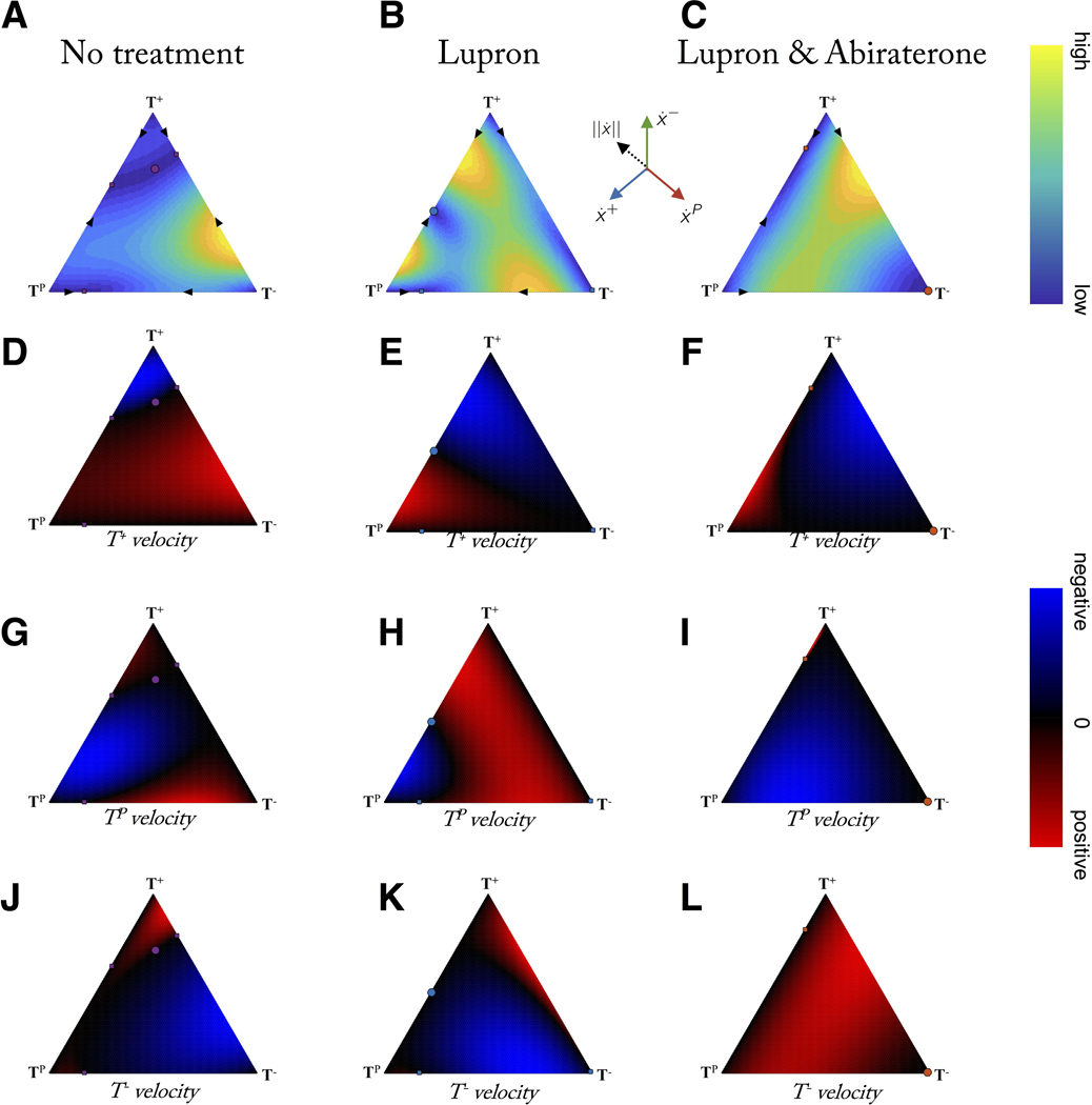 Figure 7: