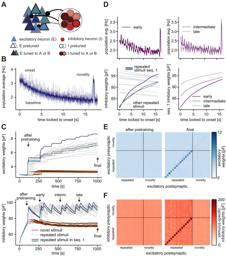 Figure 1—figure supplement 3.