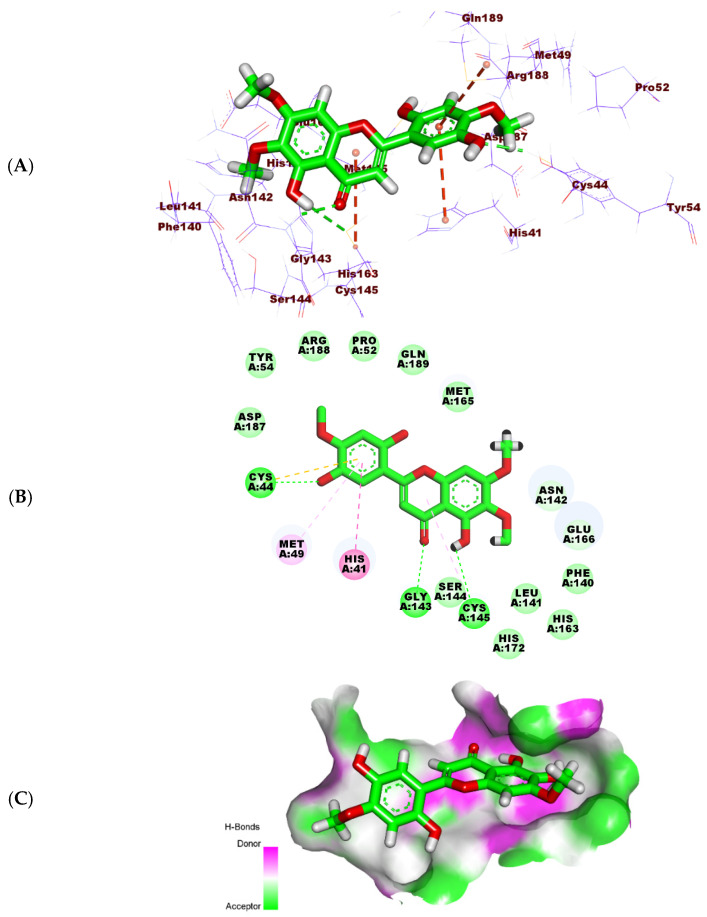 Figure 11