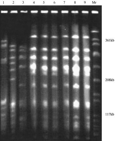 FIG. 2.