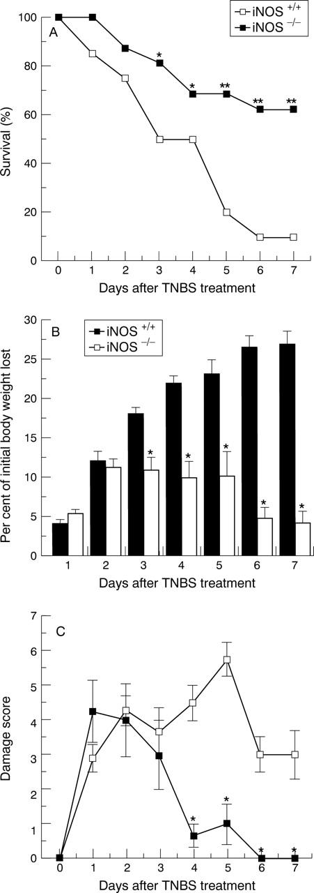 Figure 1  