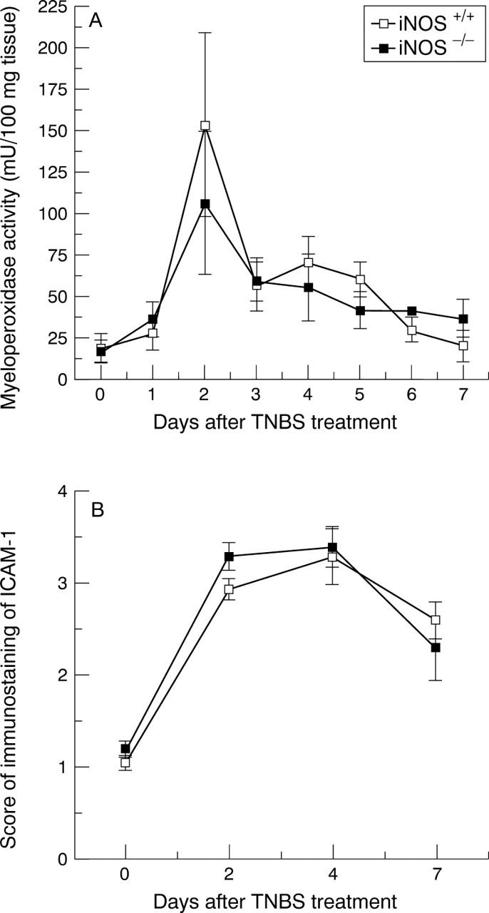 Figure 4  