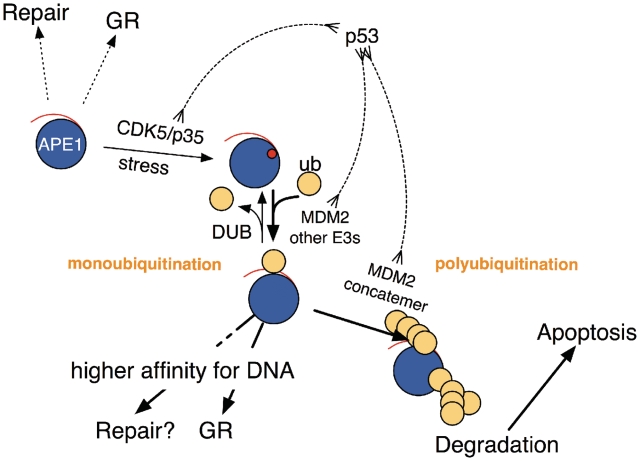 Figure 7.