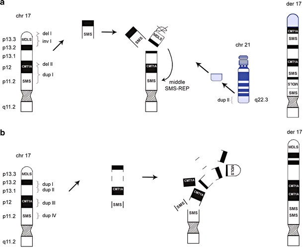 Fig. 6