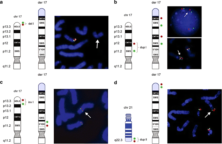 Fig. 3