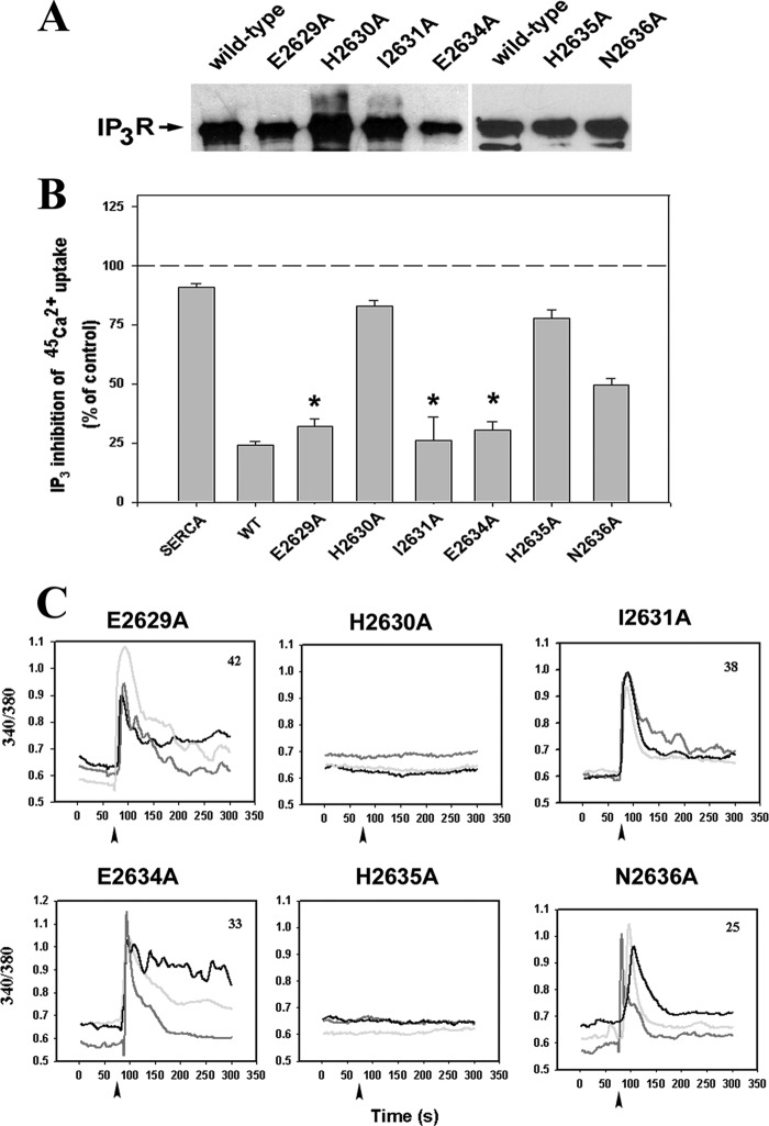 FIGURE 3.