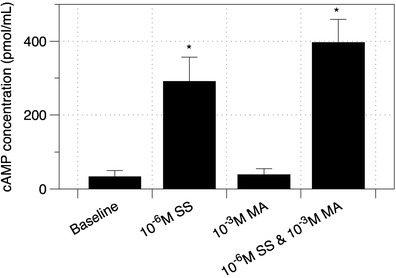 Fig. 10