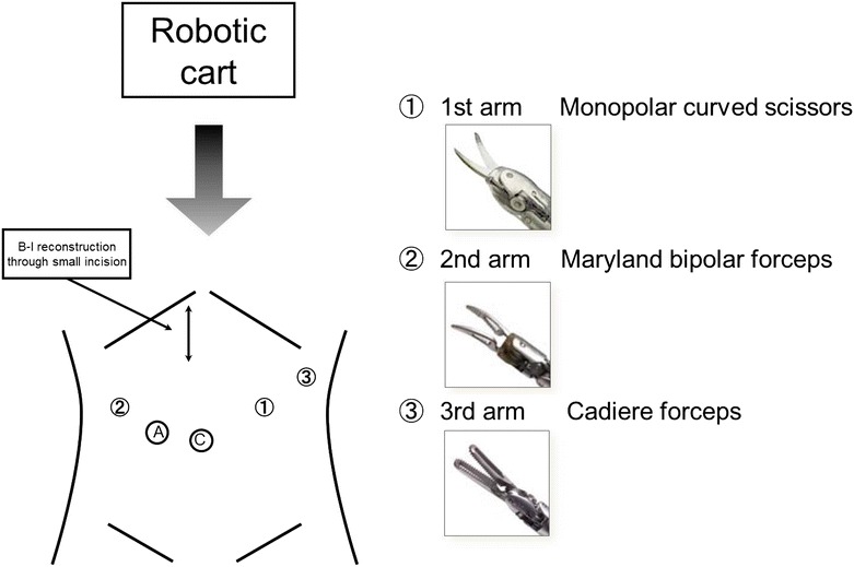 Fig. 1