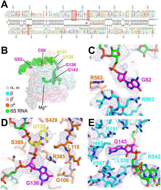 Figure 5