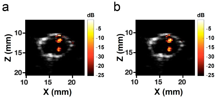 Figure 12