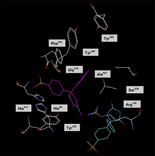 Fig. 3.