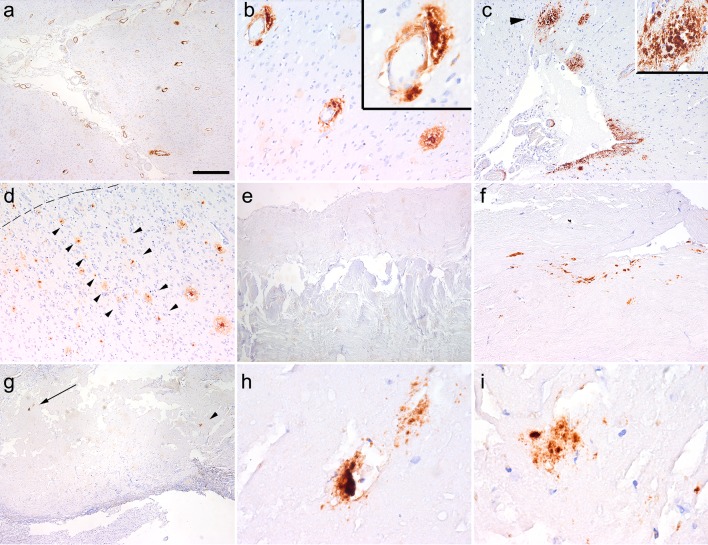 Fig. 3