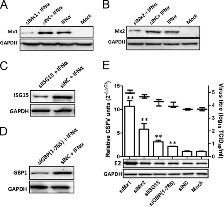 FIG 3