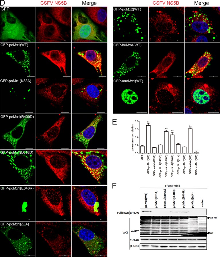 FIG 6