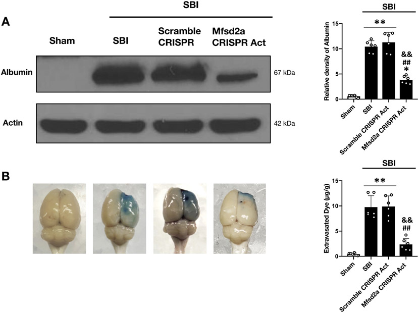 Figure 6: