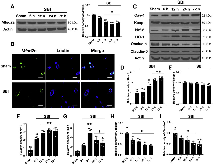 Figure 3: