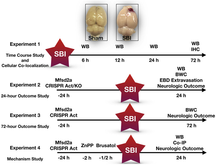 Figure 2: