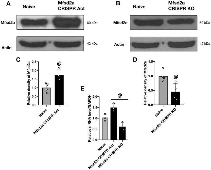 Figure 4: