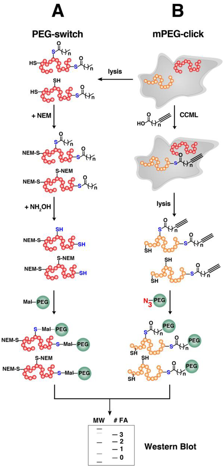 Figure 10.