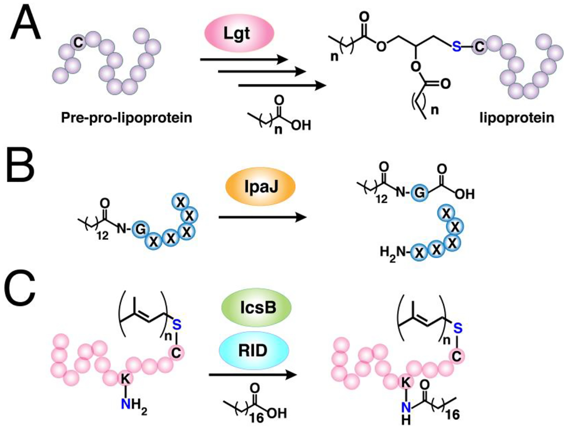 Figure 13.