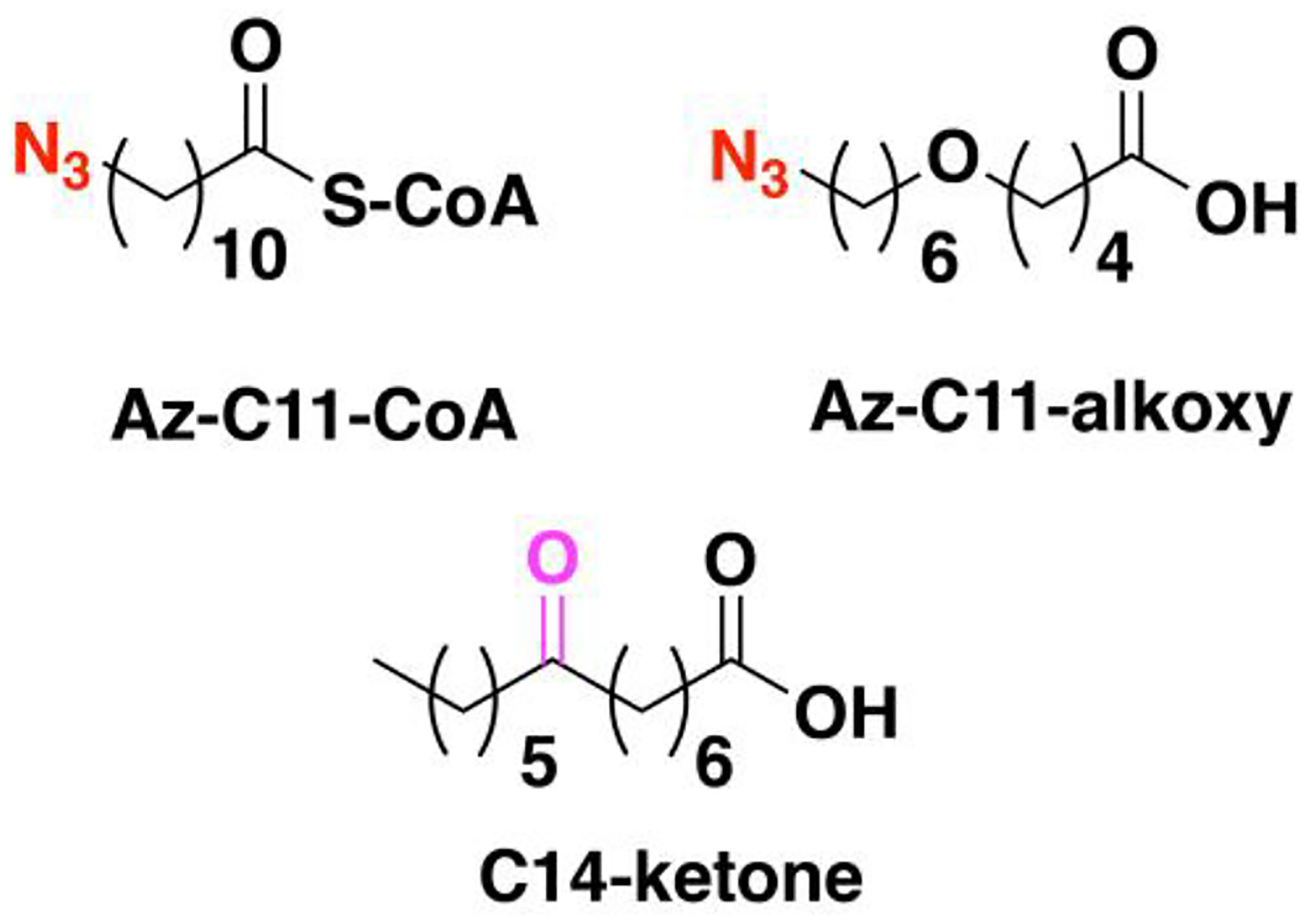 Figure 24.