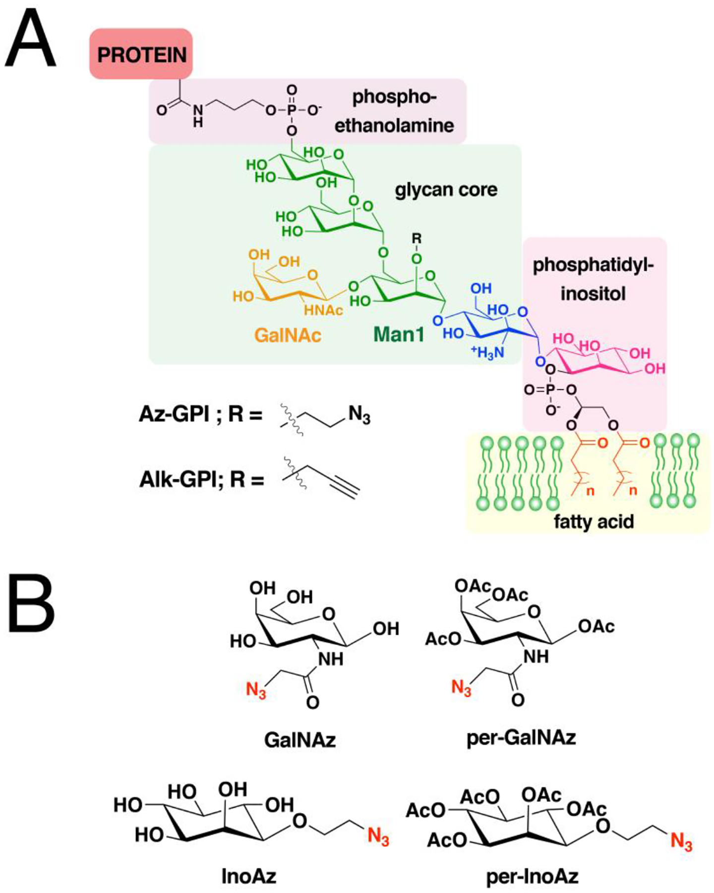 Figure 20.