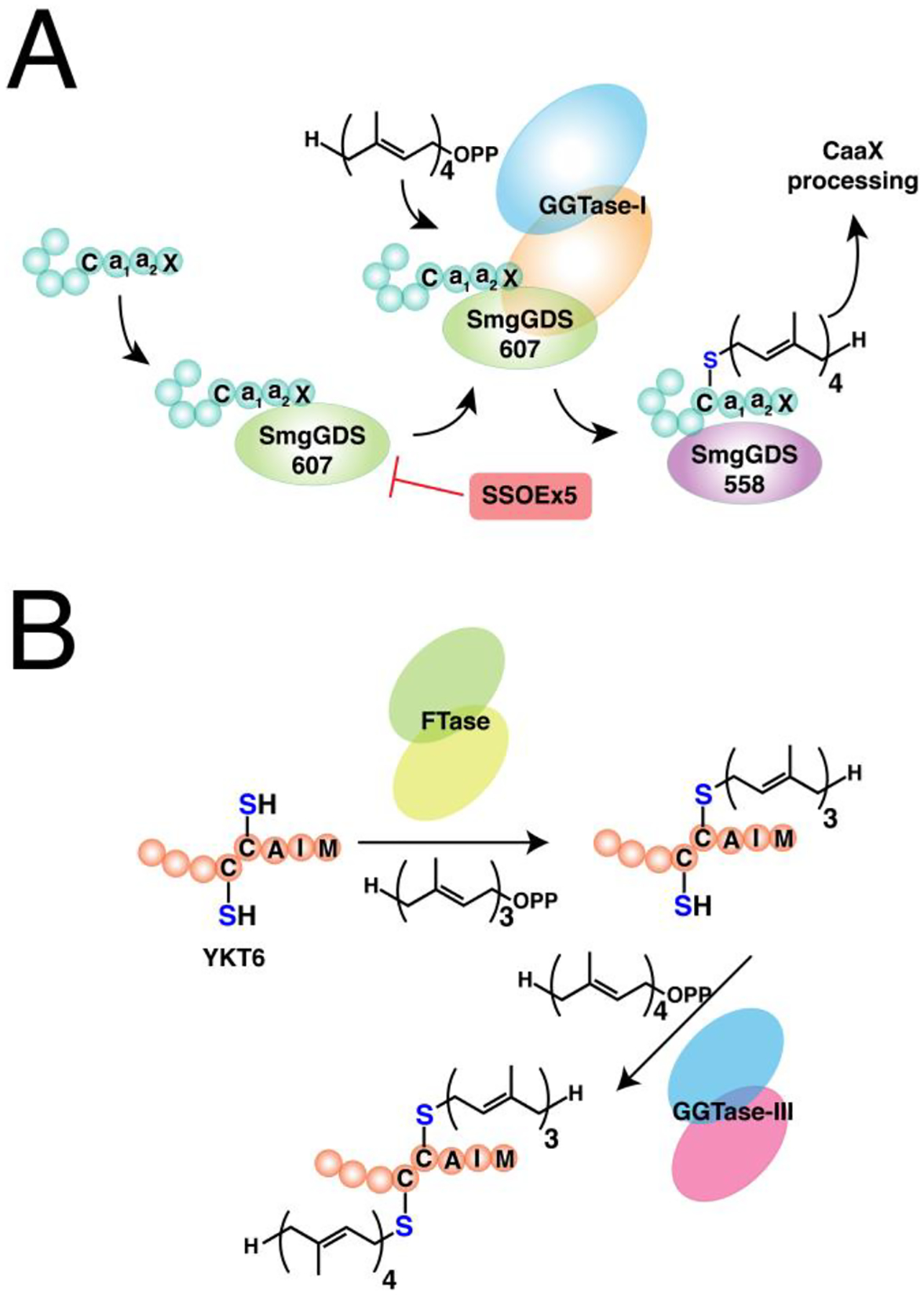 Figure 15.