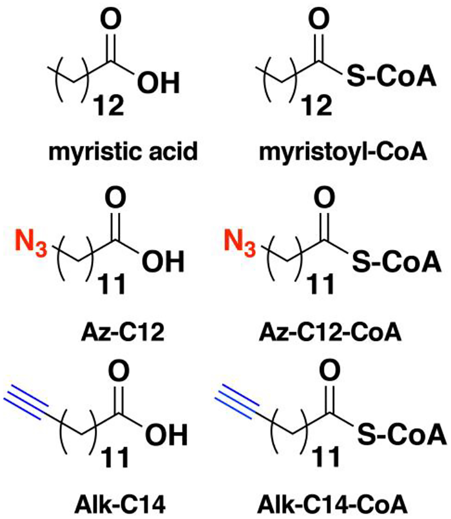 Figure 11.