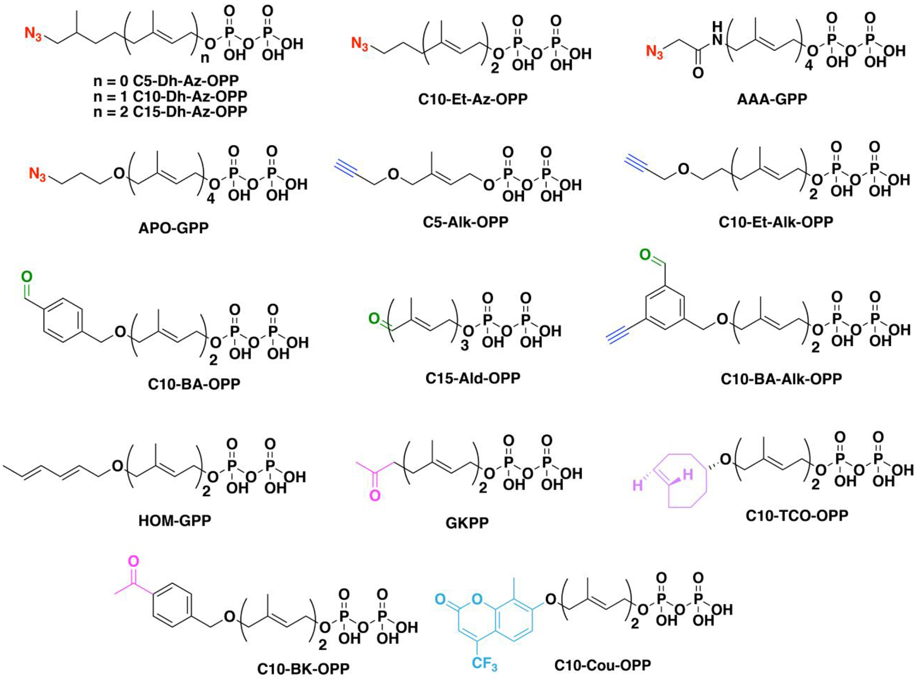 Figure 21.