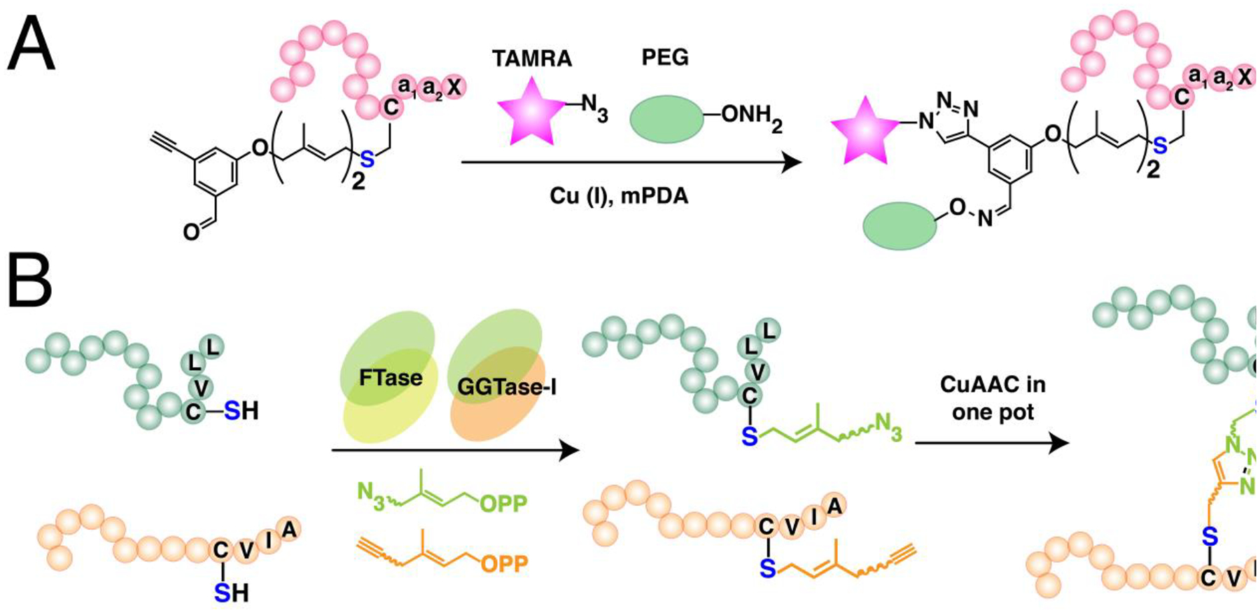 Figure 23.