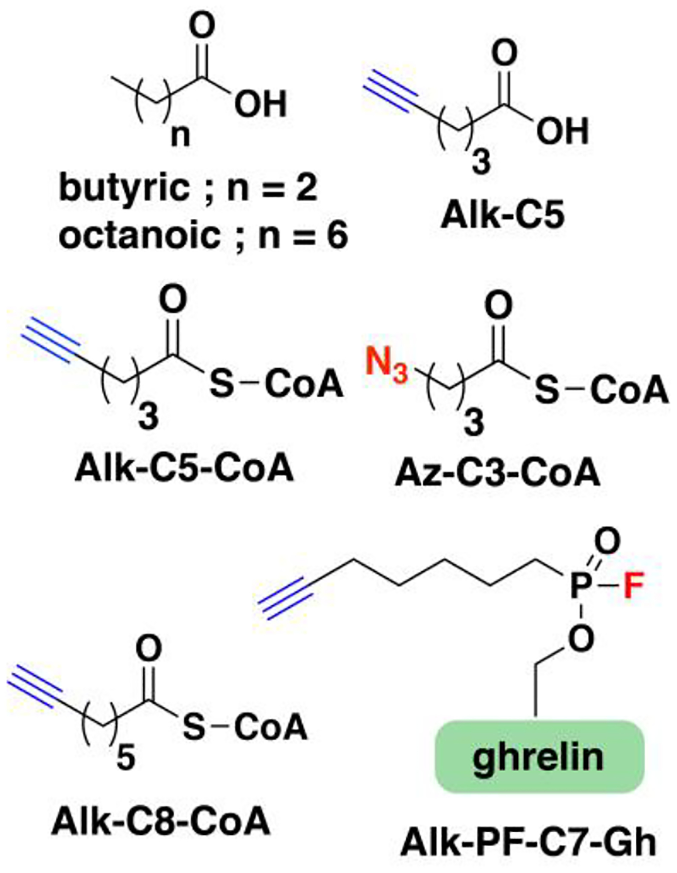 Figure 17.