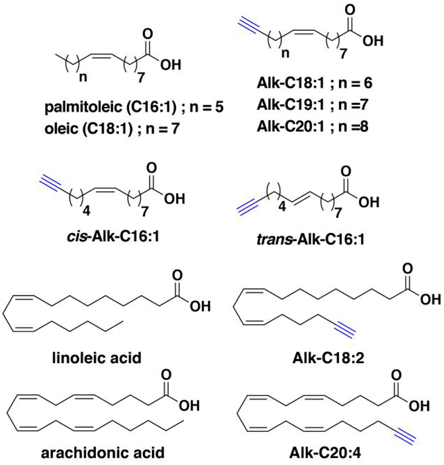 Figure 18.